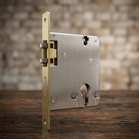 Corps de serrure de porte en acier inoxydable P60 avec plaque de languette carrée en cuivre pour ensemble de serrure de porte en bois, directement de l'usine