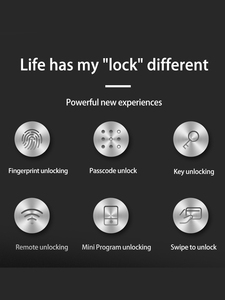 Serrure de porte intelligente Tuya WiFi avec sécurité étanche, lecteur d'empreintes digitales à semi-conducteurs, accès par clé et stockage de données cloud - Product Image 2
