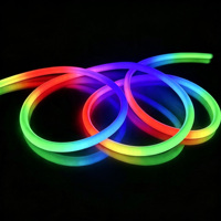 Tube néon LED flexible en silicone programmable DMX à 360 degrés, lumière de corde noire 12V 24V IP67 étanche pour décoration de scène DJ