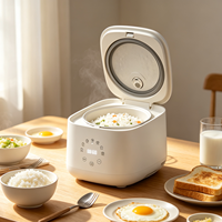 Autocuiseur Électrique Tactile Multifonctionnel avec Cuve Antiadhésive pour Cuisson à Faible Teneur en Sucre – Vente en Gros