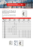 Transformateurs de courant importés de Turquie, modèles TU30 TU40 TU50 TU60 TU80, classe 0.2S, acheter en ligne