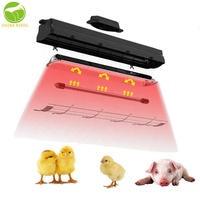 Lampe chauffante en fibre de carbone noire pour poussins et porcelets, configuration haut de gamme pour élevages