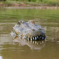 Bateau électrique télécommandé 2.4G, jouet pour piscine, flotteur avec tête de crocodile simulée