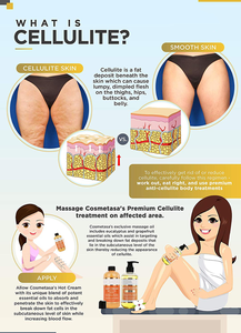 Private Label a base di erbe Anti-Cellulite massaggio olio & crema calda con perdita di peso naturale trattamento della Cellulite - Product Image 2