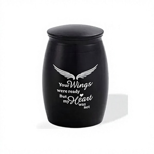 Small <b>Urn</b> <b>for</b> Human <b>Ashes</b> <b>Mini</b> Wings <b>Urn</b> <b>for</b> Human <b>Ashes</b> Adult Male & Female Decorative Tiny Keepsake Black <b>Urn</b> With Free Bag - Product Image 1