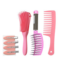 Lot de 4 brosses et peignes démêlants en plastique avec pinces à cheveux – Kit d'outils de coiffure en gros