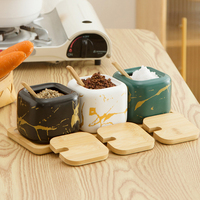 Ensemble de pots à épices en céramique marbrée de luxe nordique pour sel, sucre, poivre, avec couvercle en bambou, cuillère et plateau