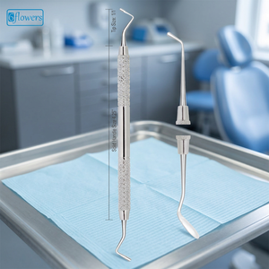 Instrument de remplissage manuel pour détartreur dentaire, pointe taille 1/1, manche solide 4,25 pouces, en acier, certifié CE Classe I - Product Image 2