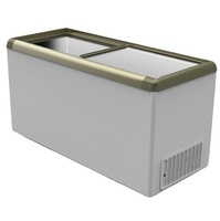 650L SD-650D porte en verre plat coffre réfrigérateur congélateur