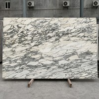 Dalle de marbre blanc Arabescato naturel avec veines grises pour projets de murs de hall, salles de bain et salles à manger