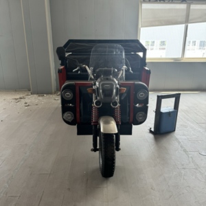 China Precio de Venta caliente <span class=keywords><strong>Tuk</strong></span> Motocicleta Taxi 2000W Eléctrico Tres ruedas Pasajero <span class=keywords><strong>Rickshaw</strong></span> eléctrico - Product Image 3