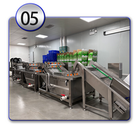 Nieuwe MINGFAN Automatische Groente Productielijn Voedselverwerkingsapparatuur Groente Spoelinstallatie 500-5000KG/URUUR