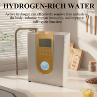 SOUDRON pré vente pH 11 Kangen système alcalin hydrogène ioniseur d'eau-800mv 220V distributeur pour usage domestique eau ionisée