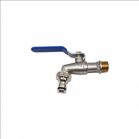 Personnalisé Nouveau Extérieur Doré Eau Bavoir Robinet Moderne En Acier Inoxydable Noyau Zinc Machine À Laver Robinet De Jardin En Laiton Cuivre Bibcock
