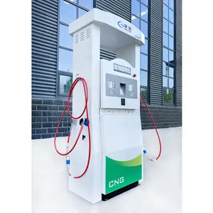 One Hose CNG Dispenser LNG Dispenser LPG Dispenser for Gas Station