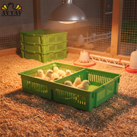 Boîte à poussins AYTAV, 2 sections, fond solide, nouvelle capacité de 100 poussins, garantie 1 an, qualité supérieure PP -5C +80C, longue durée de vie