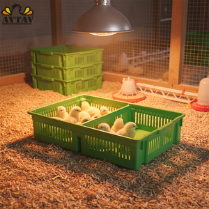 AYTAV Chick Box 2 Sections Solid Bottom New 100 Chick Capacity 1 Year Warranty Super Quality PP -5C +80C Long Service Life - Product Image 2