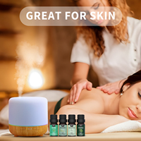 Ensemble de flacons de 5 ml d'huile essentielle d'aromathérapie 100% pure, écologique, distillée à la vapeur, soluble dans l'huile, personnalisable, pour la beauté et l'assainisseur d'air