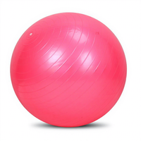 Ballon de yoga en PVC de 55 cm - Anti-explosion, épaissi, pour le soutien du dos, l'exercice, la danse et le fitness
