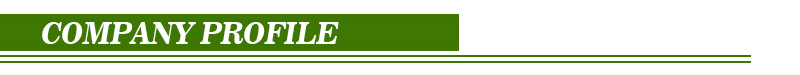 Lithium Ion Battery Pack OEM 12V 24V 36V 48V 60V LiFePO4 Battery For Electric Scoot