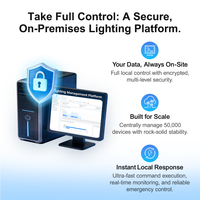 Plataforma de Iluminación Inteligente In Situ, Datos en Sitio, Seguridad Multicapa, Gestión Centralizada para 50.000 Dispositivos