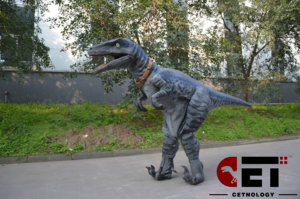 Costume de dinosaure adulte réaliste, dinosaure animatronique, animatroniques d'Halloween, <span class=keywords><strong>Jurassic</strong></span> Park, T-rex, <span class=keywords><strong>Velociraptor</strong></span> - Product Image 5