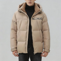 Veste d'hiver matelassée à capuche pour homme 2025, manteau d'hiver personnalisé avec col montant, nouveau design ample, épais et chaud
