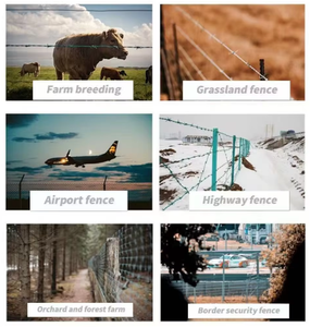 <span class=keywords><strong>Fil</strong></span> <span class=keywords><strong>de</strong></span> fer barbelé en acier galvanisé à chaud recouvert <span class=keywords><strong>de</strong></span> PVC, en <span class=keywords><strong>bobine</strong></span>, avec fonction anti-escalade, <span class=keywords><strong>pour</strong></span> clôture <span class=keywords><strong>de</strong></span> chantier, 6 pieds - Product Image 5