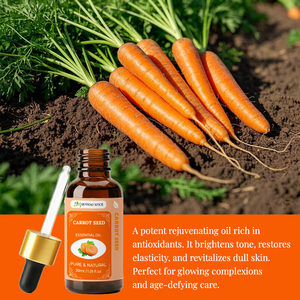 ผู้ผลิตน้ำมันเมล็ดแครอทออร์แกนิคแท้ 100% น้ำมันแครอทออร์แกนิคสำหรับบำรุงผิว น้ำมันหอมระเหยขายส่ง - Product Image 5