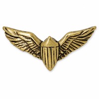 Écusson d'aviation personnalisé USAF, ailes de spécialité plaquées métal, double ailes de pilote, accessoire commémoratif, cadeau souvenir