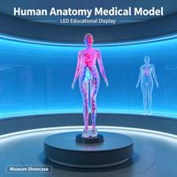 Modèle de simulation réaliste personnalisé