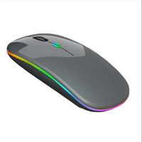 Souris sans fil mince avec rétroéclairage RVB, souris d'ordinateur silencieuse rechargeable 2,4 G