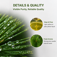 Huile d'aiguilles de pin 100% pure et naturelle de qualité thérapeutique, distillée à la vapeur, pour diffuseur d'aromathérapie, fabrication de parfums et massage – Approvisionnement direct usine