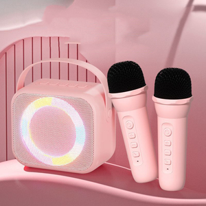 2-in-1 âm thanh cầm tay Boombox mini Loa di động với <span class=keywords><strong>USB</strong></span> & BT cho nhà hát & Sân khấu bên ngoài trời KTV Gia đình vui vẻ - Product Image 2