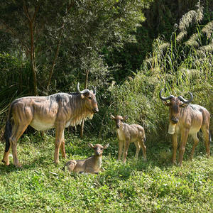 SE7ART personalizado al aire libre ñu decoración FRP tamaño real Animal Gnu Connochaetes Sculptura - Product Image 3
