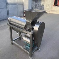 Industriële spiraalvormige sapcentrifuge voor appels, sinaasappels en druiven, 500kg/uur - 1000kg/uur