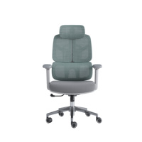 Chaise de bureau ergonomique pivotante moderne avec soutien lombaire, dossier en maille, appui-tête réglable en hauteur, structure en alliage d'aluminium, pour atelier et bureau à domicile