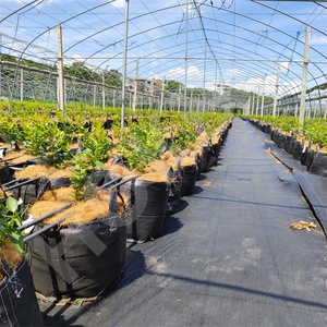 HOKBG Agrícola Venta al por mayor Granja al aire libre 45 50 60 200 galones Bolsa de maceta negra tejida PP grande Bolsa de cultivo de jardín para arándanos - Product Image 5