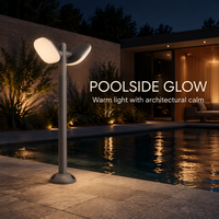 Lampe de jardin LED à double tête réglable 20W, étanche IP65, pour allée paysagère