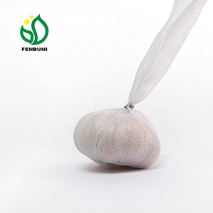 Frais chine <span class=keywords><strong>ail</strong></span> <span class=keywords><strong>d</strong></span>'<span class=keywords><strong>éléphant</strong></span> en 2019 nouvelle récolte - Product Image 3
