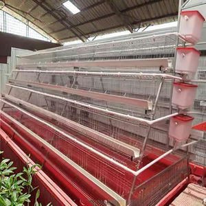 Vente <span class=keywords><strong>en</strong></span> gros de cages à poules pondeuses de type A, 3 niveaux, 4 niveaux, système automatique de batterie, fermes avicoles, cages à poulets de chair d'occasion à vendre - Product Image 4