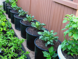 Pots à fleurs en plastique de toutes tailles 1, 2, 3, 5, 7, 10, 14, 15, 20 gallons, pots simples <span class=keywords><strong>pour</strong></span> pépinière de jardin, pots <span class=keywords><strong>pour</strong></span> <span class=keywords><strong>plantes</strong></span>, contenants de jardinage en plein air - Product Image 6