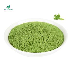 Заводская поставка, высокое качество, сушеный порошок сока сельдерея, натуральный экстракт сельдерея, порошок Сельдерея - Product Image 2