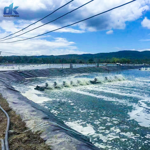 Géomembranes PE-HD Étang à poissons en plastique <span class=keywords><strong>Lagoon</strong></span> Lake Dam Liner Farm Liner 1.5mm Hdpe Geomembranas <span class=keywords><strong>Prix</strong></span> - Product Image 4