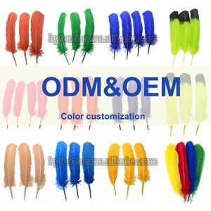 Plumes de dinde noire pour enfants artisanat bricolage chapeau créatif cheveux Costume accessoire carnaval fête mariage décor à la maison - Product Image 5