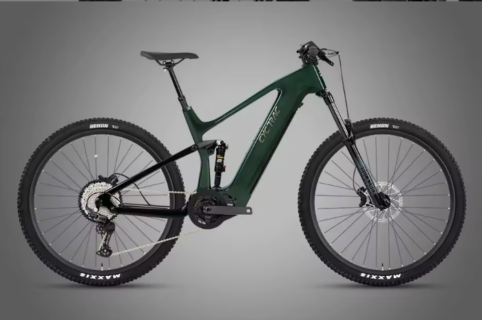 Vert forêt