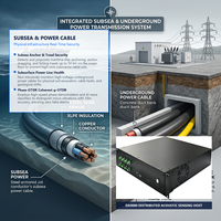 Real Time AI 16TOPS DAS Distributed Acoustic Sensing Monitoring System for Oil & Gas Pipeline Leak Detection Subsea Underground