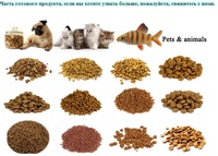 Ligne d'extrusion de granulés pour aliments pour animaux avec mélange, formage, séchage et refroidissement pour la transformation de la farine de poisson et de la farine de soja