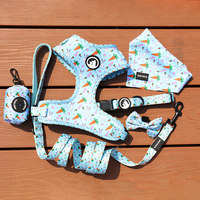 Ensemble Harnais Chien OKEYPETS Luxe Personnalisé Réglable avec Laisse, Collier, Sac à Déjections, Bandana Réversible en Néoprène Respirant pour Chiot