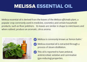 Aceite de Melissa Orgánico 100% Puro y Natural, Aceite de Balsamo de Limón para Masajes en la Piel, Aromaterapia, Ayuda a Dormir - Product Image 3